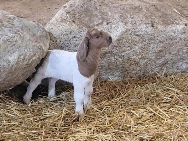 Time to go to the&nbsp;Fair!