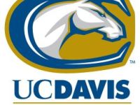 College Friends Forever