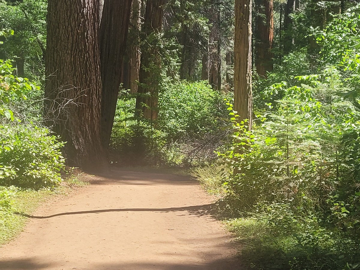 Roaming through Gold&nbsp;Country